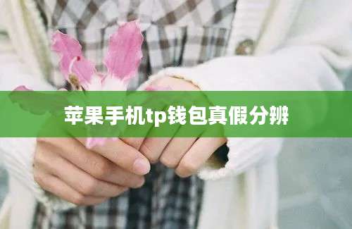 苹果手机tp钱包真假分辨
