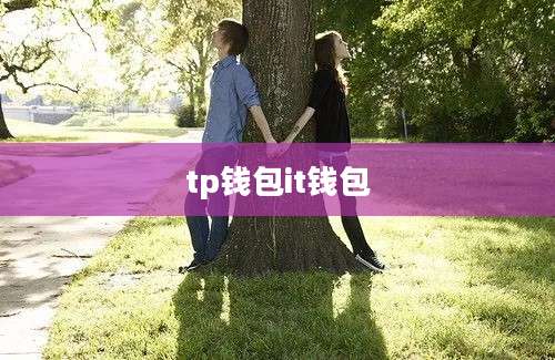 tp钱包it钱包