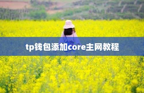 tp钱包添加core主网教程