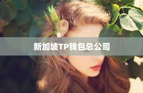新加坡TP钱包总公司
