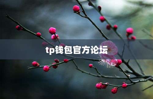 tp钱包官方论坛