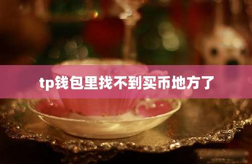 tp钱包里找不到买币地方了