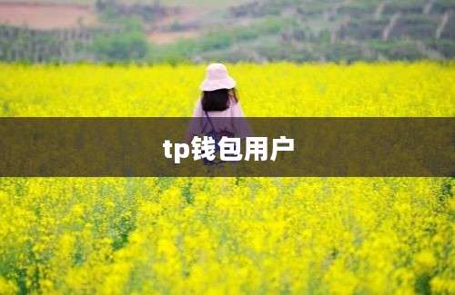 tp钱包用户