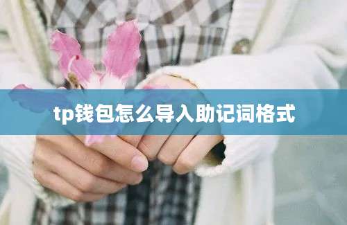 tp钱包怎么导入助记词格式