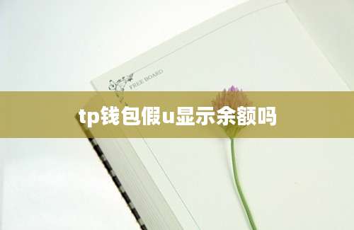 tp钱包假u显示余额吗