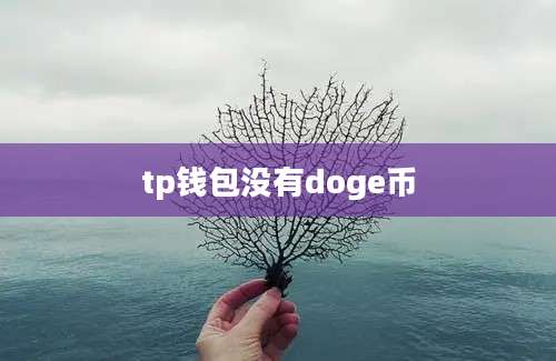 tp钱包没有doge币