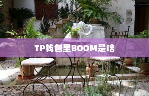 TP钱包里BOOM是啥