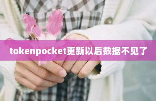 tokenpocket更新以后数据不见了