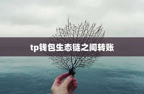 tp钱包生态链之间转账