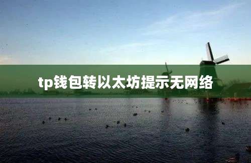 tp钱包转以太坊提示无网络