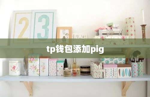 tp钱包添加pig