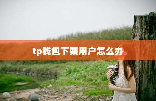 tp钱包下架用户怎么办