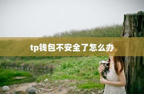 tp钱包不安全了怎么办
