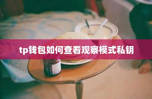 tp钱包如何查看观察模式私钥