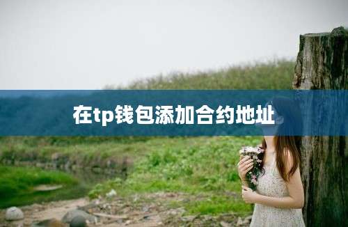 在tp钱包添加合约地址
